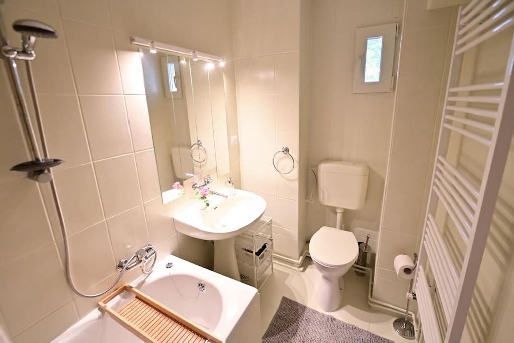 Flh - Apartment Grm Princess Сибиу Экстерьер фото